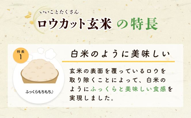 099H202 金芽ロウカット玄米 4kg【東洋ライス 2kg×2P お米 米 099H202 金芽ロウカット玄米 4kg【東洋ライス 2kg×2P お米 米