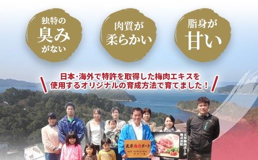 熊本県産 天草梅肉ポーク 豚ロース ステーキ用 2.8kg 冷凍