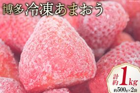いちご 博多 冷凍あまおう 約500g×2袋 計約1kg [エイチアンドフューチャーズ 福岡県 筑紫野市 21760520] 果物 フルーツ 苺 イチゴ あまおう 冷凍いちご 冷凍苺 果実 ストロベリー ジャム用 福岡県産
