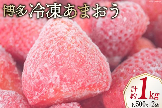 y}sz  Ⓚ܂ 500g×2 v1kg [GC`Aht[`[Y  }s 21760520] ʕ t[c  C`S ܂ Ⓚ Ⓚ ʎ Xgx[ Wp Y