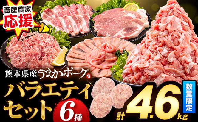 数量限定★生産者応援★ 豚肉 小分け バラエティ セット うまか ポーク しゃぶしゃぶ 切り落とし 豚ロース バラ 豚バラ 豚バラ肉 スライス 4.6kg 4600g 4kg 以上 真空 お楽しみセット 不揃い 数量限定 簡易包装 冷凍配送 《30日以内に出荷予定(土日祝除く)》---fn_fozpfs_23_30d_15000_4600g---