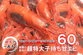 【2026年1月～6月発送】獲れたて鮮度抜群！姫丸の子持ち甘エビ60匹丸ごと昆布〆