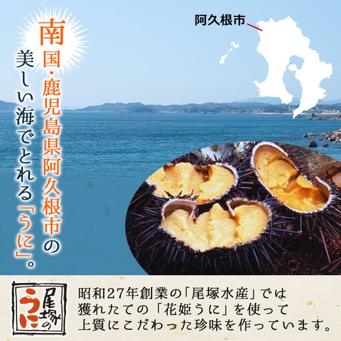 鹿児島県産うに使用！尾塚水産の生うに海水漬(70g×1本) 国産 鹿児島県産 阿久根市 雲丹 ウニ 魚介 魚貝 海産物 海鮮丼 瓶詰 瓶詰め 小分け セット 冷凍配送 刺身 海鮮丼【尾塚水産】a-12-336