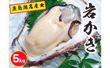 鹿島名産★天然岩牡蠣（約5kg）（KBL-9）