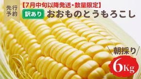 【先行予約 2026年7月中旬以降発送 】【 令和8年産 】【 訳あり 】 八千代町産 農家直送 朝採り とうもろこし おおもの 6kg トウモロコシ スイートコーン 産地直送 規格外  不揃い 傷 [AX031ya][SZRY]
