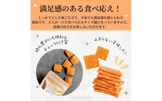 野菜を補うクラッカー（にんじん）10個セット　【茨城県産有機にんじん使用】食物繊維・ビタミンA豊富　化学調味料不使用　保存料不使用　グルテンフリー ※離島への配送不可