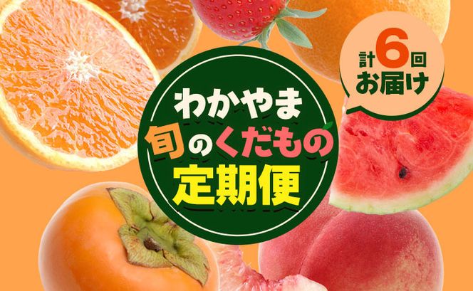 わかやま旬の くだもの 定期便 【全6回】 Ｓ 有田マルシェ 北海道