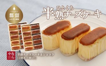 AP016　半熟チーズケーキ5ケ半熟ショコラ5ケ　10個入ｘ2箱