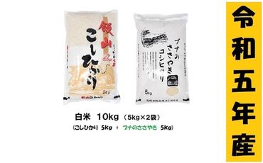 [9月から寄附額・容量変更無][令和5年産 ]「飯山こしひかり+ぶなのささやきコシヒカリ」各5kgセット(5-63A)