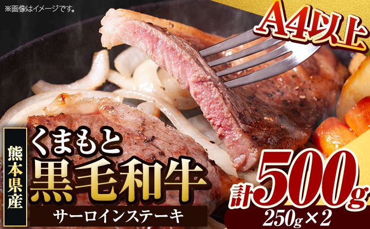 くまもと黒毛和牛 サーロインステーキ 500g (250g x 2枚) 牛肉 冷凍 [30日以内に出荷予定(土日祝除く)(土日祝除く)] くまもと黒毛和牛 黒毛和牛 冷凍庫 個別 取分け 小分け 個包装 ステーキ肉 にも サーロインステーキ---gkt_fsaro_30d_24_18000_500g---