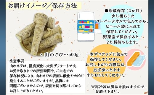 3166. 天然 山わさび 500g前後 産地直送 薬味 肉 BBQ バーベキュー 焼き肉 送料無料 北海道 弟子屈町