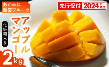 【先行受付】【2024年発送】あかみね熱帯フルーツのアップルマンゴー約2kg