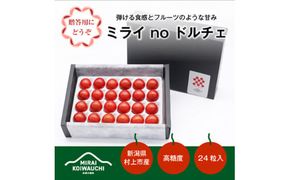 A4211 【数量期間限定】【7月上旬から順次発送】『ミライ no ドルチェ』プレミアム 新潟県村上産ミニトマト（化粧箱入り）500g程度×1ケース