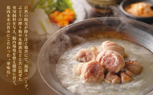 博多華味鳥 水たき セット ( 3～4人前 ) 鶏肉 鍋 水炊き お取り寄せ 冷凍