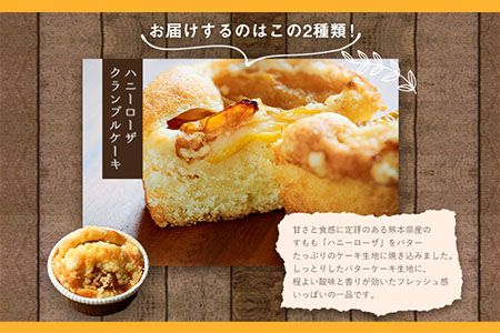 ハニーローザカップケーキセット 熊本県玉名郡玉東町 すもも ハニーローザ ぷらっとぎょくとう《30日以内に出荷予定(土日祝除く)》---sg_fhrocake_30d_24_14500_10p---