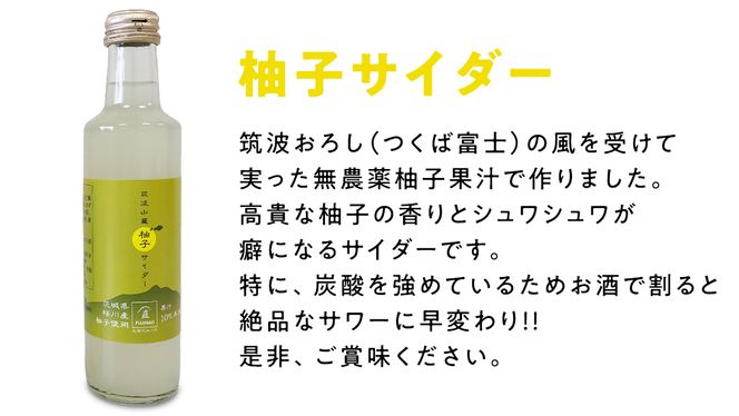 【 お歳暮 熨斗付き 】 筑波山麓 クラフトサイダー 8本 セット （ 苺 4本 ・ 梨 2本 ・ 柚子 2本 ） サイダー いちご イチゴ なし ナシ 柚子 飲み比べ 飲みくらべ [BW008ci]