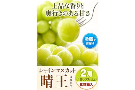 【2025年先行予約】シャインマスカット晴王 はれおう 2房(1房600g以上) 化粧箱入 株式会社山博(中本青果)《2025年8月下旬-10月中旬頃出荷》岡山県 浅口市 シャインマスカット 晴王 ぶどう マスカット 大粒 フルーツ 秀品 果物 ギフト 国産 岡山県産 送料無料---124_c249_8g10c_23_25000_700g---