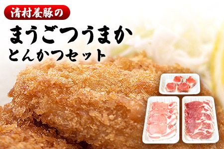 まうごつうまかとんかつセット 1kg 清村養豚[60日以内に出荷予定(土日祝除く)] ロース ヒレ 肩ロース とんかつ かつ丼 みそかつ 熊本県 御船町---sm_fkymau_60d_22_14500_1kg---