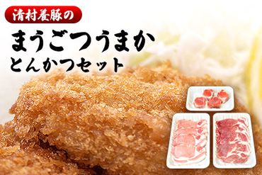 まうごつうまかとんかつセット 1kg 清村養豚[60日以内に出荷予定(土日祝除く)] ロース ヒレ 肩ロース とんかつ かつ丼 みそかつ 熊本県 御船町---sm_fkymau_60d_22_14500_1kg---