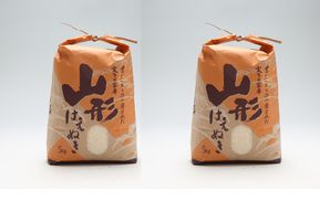 渡會さんのうまい米！はえぬき 10kg 5kg×2袋 令和7年産 2025年産 ブランド米 コシヒカリの原点、亀の尾発祥の地 庄内【1028-023I】