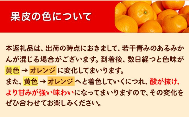 みかん 和歌山 訳あり 早生 みかん 5kg ( サイズ 不選別 ) どの坂果樹園《12月上旬-2027年2月上旬出荷予定》 和歌山県 日高町 産地直送 家庭用 規格外 不揃い 果物 柑橘 サイズ 不選別 訳ありみかん わけありみかん 送料無料---wsh_dsk54_12j2j_25_9000_5kg---