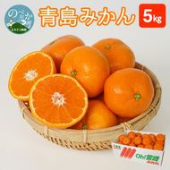 青島みかん 5kg N0132-YA2253