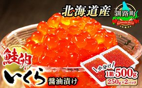 いくら醤油漬け 500g（250g ×2パック ×1箱） 小分け　| 国産 北海道産 いくら いくら醤油漬 イクラ ikura 天然 鮭 サーモン 鮭卵 鮭いくら 北海道 昆布のまち 釧路町 笹谷商店 直営 釧之助本店 人気の 訳あり！ ご飯 米 無洗米 にも最適 年内配送 年内発送 北海道 釧路町 釧路超 特産品　121-1920-362-13