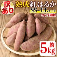 isa521 《訳あり》熟成紅はるか(約5kg・SS～LLサイズ混合) 【いさ工房】