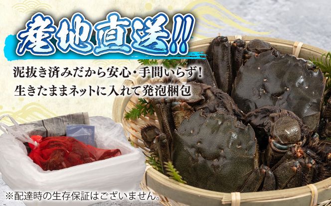 【先行予約】【2026年11月下旬以降順次発送】新鮮 活モクズガニ 2kg (10〜24杯前後) オス メス セット《築上町》【明青丸】 蟹 カニ カニ味噌[ABCB006]