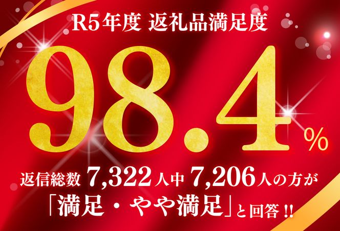 【4等級以上】極上近江牛サーロインステーキ【400ｇ（200ｇ×2枚）】【E008U】