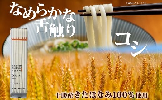 北海道産 うどん 250g×12袋 2-3人前 乾麺 干しうどん 麺 めん きた