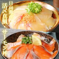 【冷凍】日向灘真鯛と生アトランサーモンの漬け丼2種食べ比べセット　100g×8袋　N019-YZB062