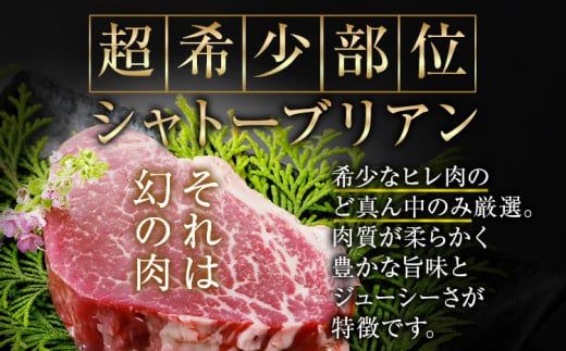 博多和牛シャトーブリアン　480g