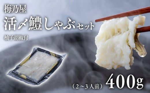 D-44 活〆鱧しゃぶしゃぶセット400ｇ（2～3人前）