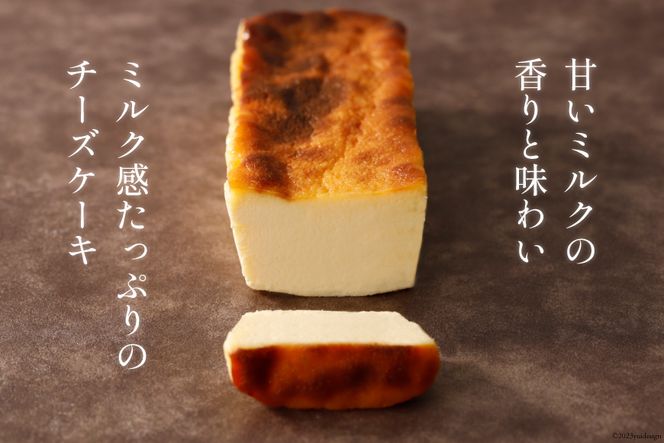 京阪百貨店 直営売場 5°F (ゴエフ) オリジナル スーパーミルキーチーズケーキ premium｜チーズ チーズケーキ おやつ プレミアム [1029]