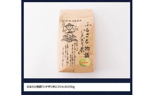 【令和６年産】 宮崎県産こしひかり「シタギリ米」5kg 【米 お米 白米 精米 国産 宮崎県産 こしひかり おにぎり】 [D04201]