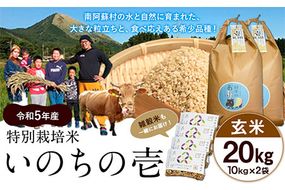 令和5年産 特別栽培米 いのちの壱(玄米)20kg 10kg×2 雑穀米付き《90日以内に出荷予定(土日祝を除く)》 熊本県 南阿蘇村 熊本県産 虹色のかば 雑穀米---sms_nnktmiig5_90d_22_43000_20kg---