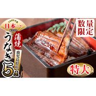 鹿児島県産 伊崎田のうなぎ蒲焼 特大＜190g以上＞× 5尾(計950g以上) c9-001