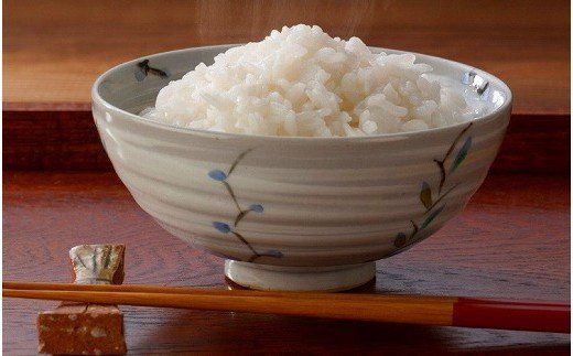 令和５年産【特別栽培米コシヒカリ】 蛍米精米10kg（5kg×2袋） 016018