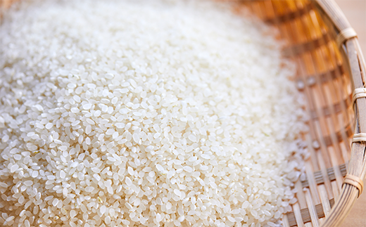 《定期便6か月》特別栽培米コシヒカリ「おおきに大地米」10kg 令和5年産　DE00067