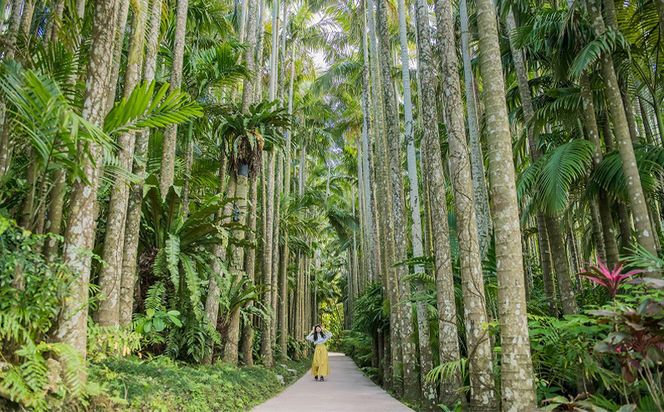 沖縄県観光スポット「東南植物楽園」年間グリーンパスポート＜大人・中人＞