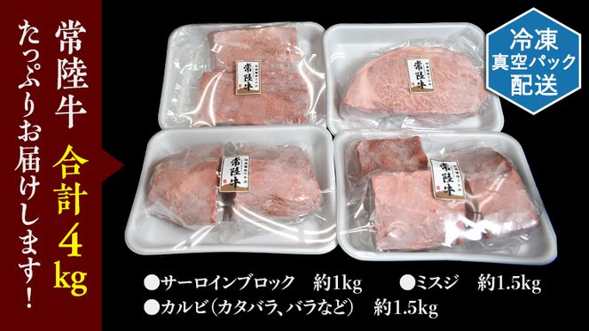 【 常陸牛 】 焼肉 ブロック セット 4kg ( 茨城県共通返礼品 ) 国産 焼き肉 サーロイン カルビ バラ バーベキュー BBQ お肉 ブランド牛[BM050us]