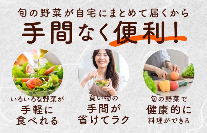 099Z187 10種類の新鮮野菜 定期便 全12回 詰め合わせ 国産 冷蔵発送 年間【毎月配送コース】