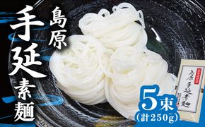 島原 手延 素麺 250g / そうめん 素麺 南島原市 / 島原手延素麺組合連絡協議会 [SAN004] 