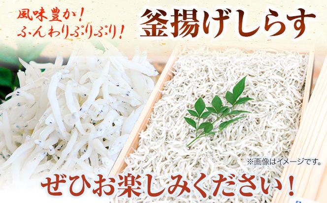 釜あげしらす 木箱 900g 大五海産《60日以内に出荷予定(土日祝除く)》和歌山県 日高町 釜揚げ しらす 魚 いわし シラス 釜揚げシラス 海産物 海鮮 海鮮丼 丼 シラス丼 しらす丼 和歌山県産 送料無料---wsh_cdig6_60d_23_17000_900g---