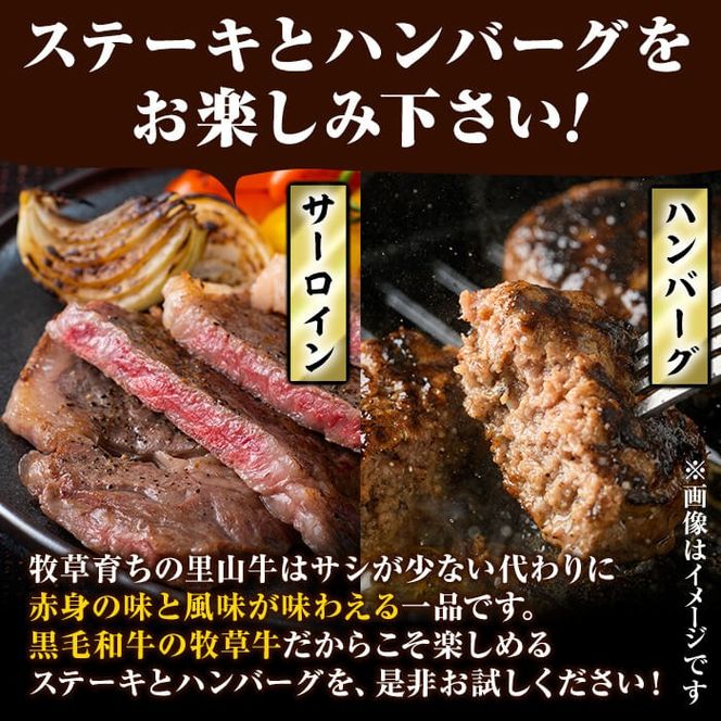 国産黒毛和牛 牧草育ちの里山牛 サーロインステーキ＆手作りハンバーグセット 計700g b1-016