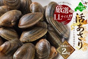 北海道 野付産 大粒 天然 活あさり 2kg前後【UY0000003】（北海道 別海町 あさり アサリ 貝 大粒 ふるさと納税）