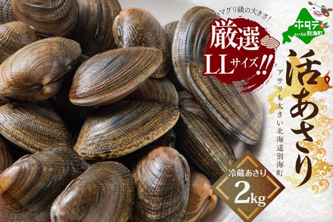 北海道 野付産 大粒 天然 活あさり 2kg【UY0000003】（北海道 別海町 あさり アサリ 貝 大粒 ふるさと納税）