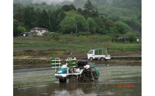 【令和5年産】 雨引の郷 延喜米 コシヒカリ 5kg【茨城県共通返礼品　桜川市産】 ※着日指定不可 ※北海道・沖縄・離島への配送不可