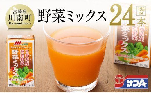 y{茧쒬z؃~bNX125ml×24{Zbg [F3014]